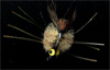 Bryon&rsquo;s Slab Crab